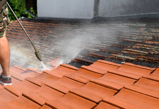 Best Concrete Pressure Washing  in Leipsic, OH