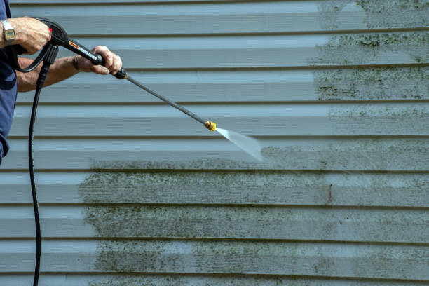 Best Residential Pressure Washing Services  in Leipsic, OH