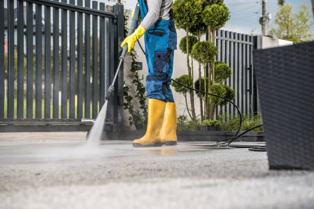 Best Roof Pressure Washing  in Leipsic, OH