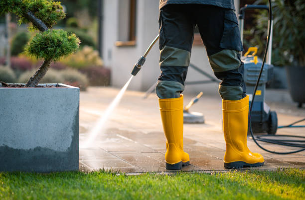 Best Local Pressure Washing Services  in Leipsic, OH